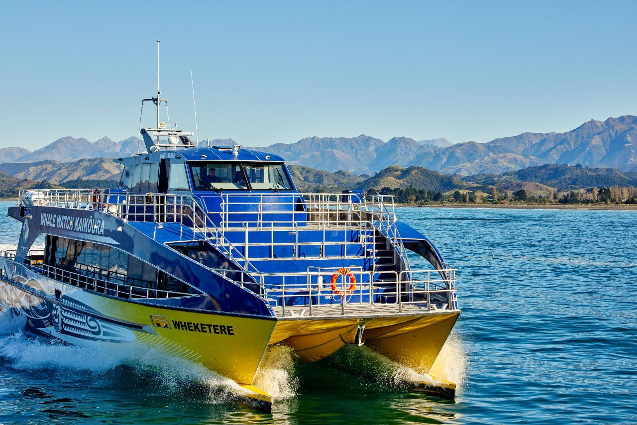 Kaikoura Whale Watch - Photo 1 of 11